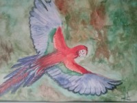 /album/galerie-de-photos-aquarelles/a10155199-889667011045921-4745933164968580947-n-1-jpg/